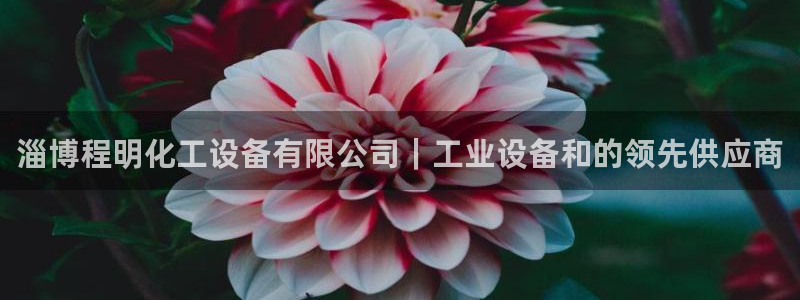 新航娱乐官网下载app