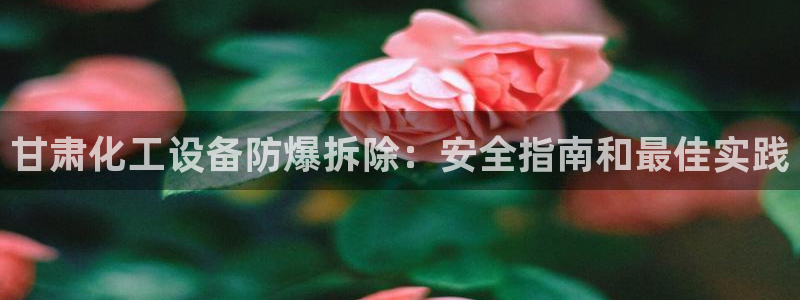 新航娱乐的创始人简介图片
