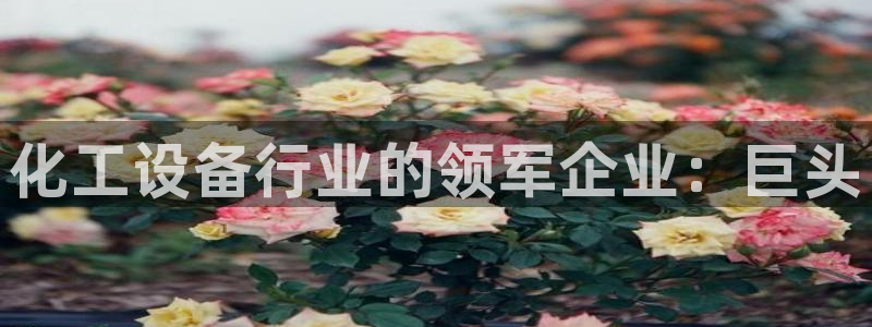 新航娱乐倒闭了吗知乎全文