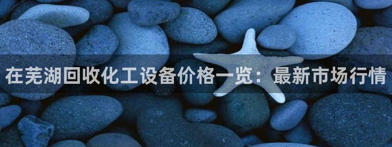 新航娱乐app手机版官网