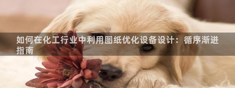 新航娱乐旗下艺人列表