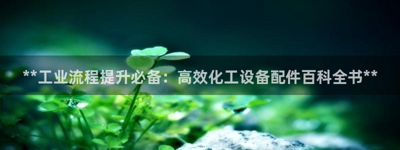 新航娱乐公司扣费流程详解视频
