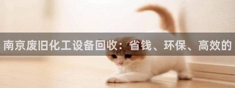 新航娱乐app的最新版本更新内容
