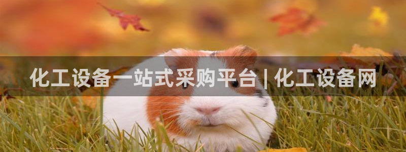 新航娱乐官网下载app