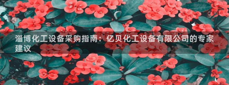 新航娱乐APP的最新版本更新内容