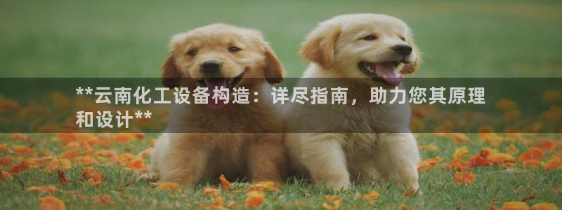 新航娱乐app手机版特色功能介绍在哪