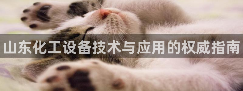 新航娱乐注册平台注册的步骤和注意事项