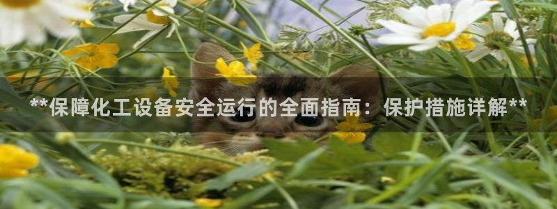 新航娱乐公司旗下艺人都有谁