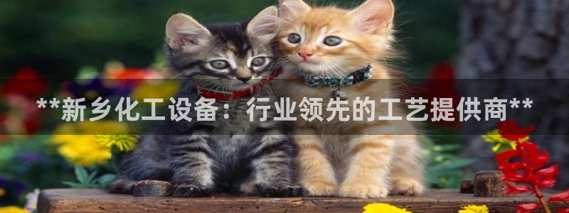新航娱乐注册平台