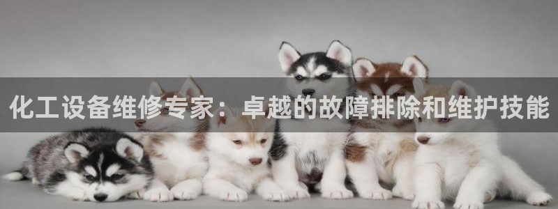 新航娱乐集团最新消息官网