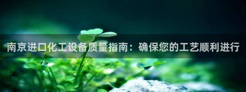 新航娱乐的会员权益与保障
