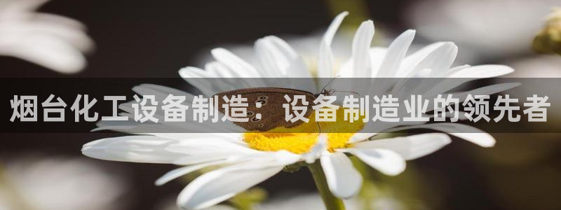 新航娱乐的创始人简介