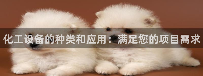 新航娱乐平台用户评价及反馈