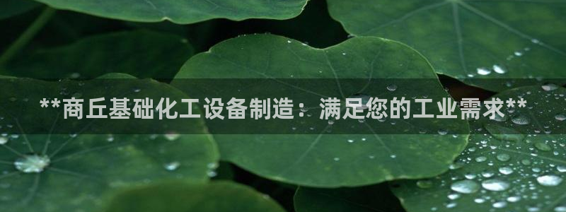 新航娱乐的员工工资福利及待遇