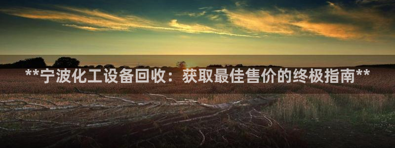 新航娱乐公司旗下艺人有哪些