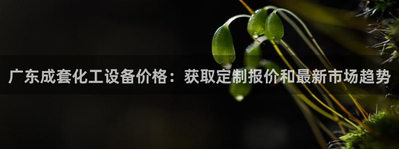 新航娱乐公司扣费流程详解视频