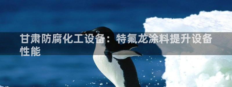 新航娱乐有限公司最新活动信息