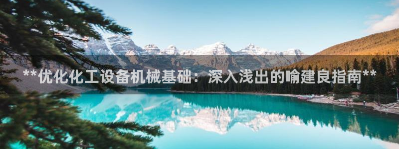 新航娱乐扣款详情：**优化化工设备机械基础：深入浅
