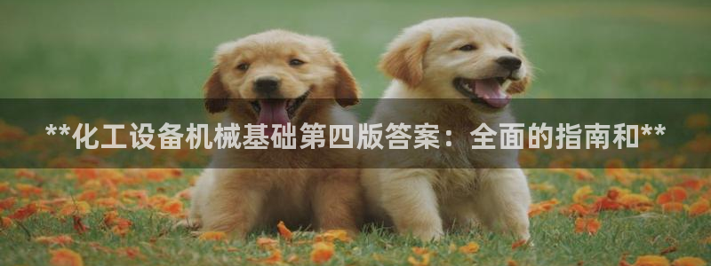 新航娱乐公司扣费流程详解图片