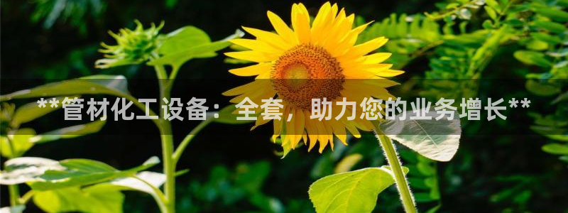 新航娱乐旗下平台有哪些：**管材化工设备：全套，助