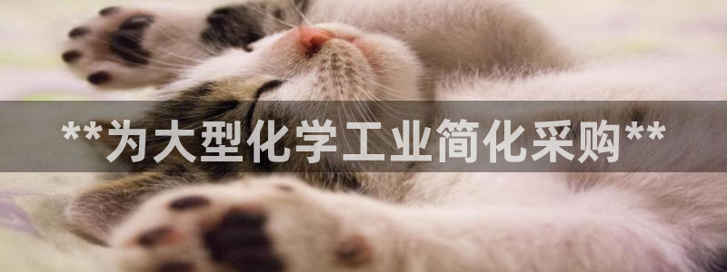 新航娱乐招商率合作 485624 怎么样