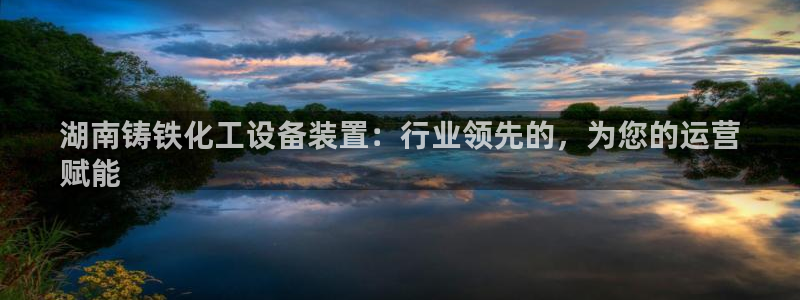 新航娱乐注册平台：湖南铸铁化工设备装置：行业领先的，为您的运
