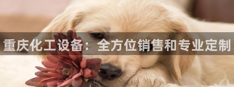 新航娱乐背后的老板叫什么