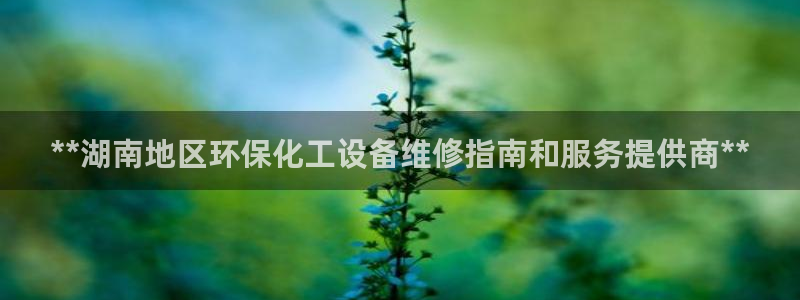 新航娱乐的员工工资福利及待遇