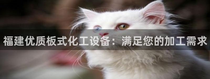 新航娱乐app最新版本更新内容是什么呢
