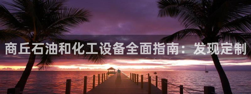 新航娱乐公司简介和历史背景怎么写