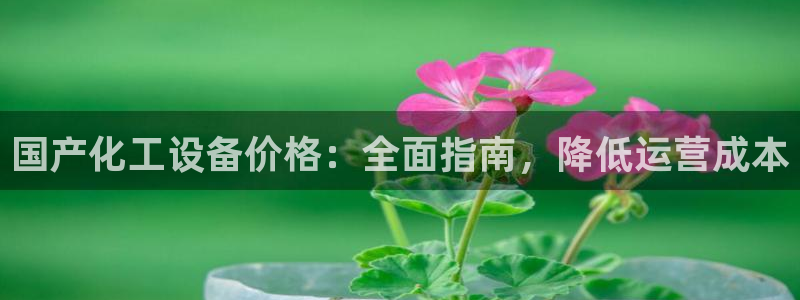 新航娱乐官网下载：国产化工设备价格：全面指南，降低