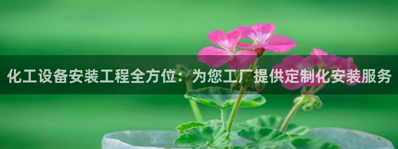 新航娱乐app的最新版本更新内容是什么