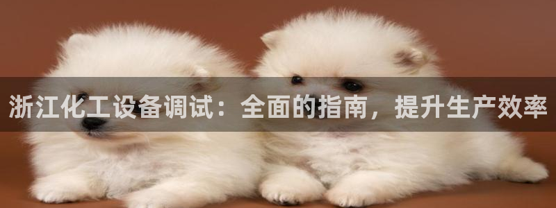 新航娱乐app的最新版本更新内容是什么