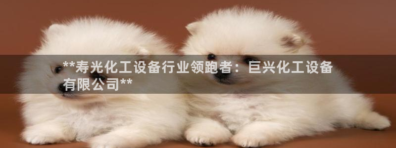 新航娱乐总代理是谁