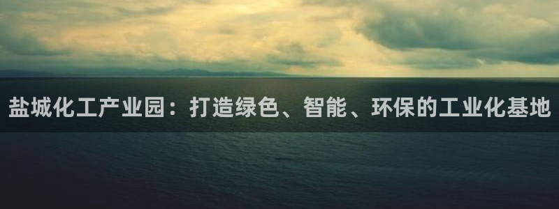 新航娱乐公司扣费流程详解视频大全：盐城化工产业园：