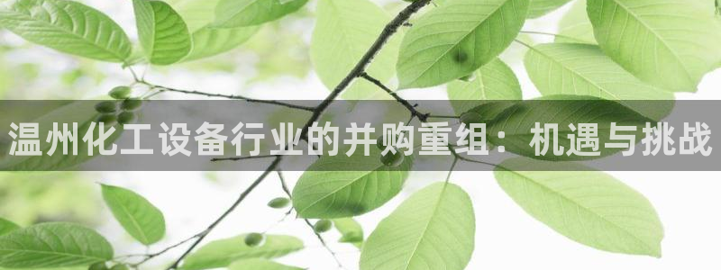 新航娱乐的会员权益与保障：温州化工设备行业的并购重组：机遇与