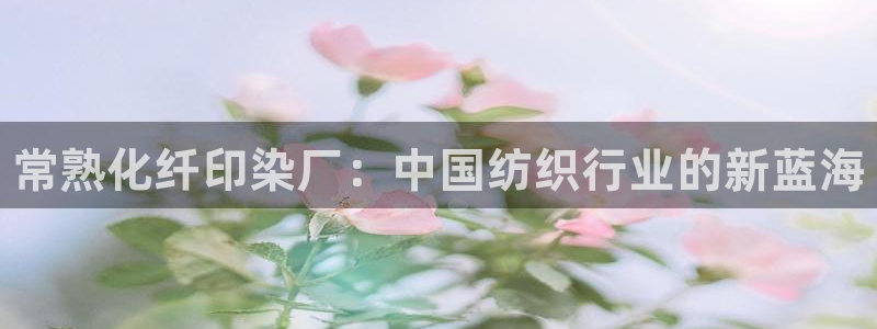 新航娱乐总代理是谁