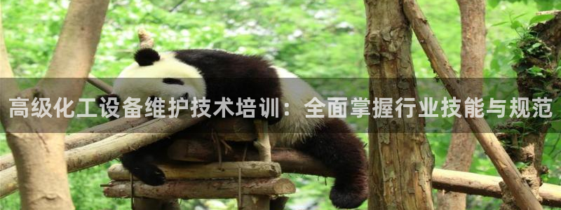 新航娱乐有限公司最新活动信息：高级化工设备维护技术