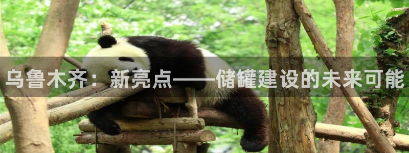 新航娱乐公司旗下艺人名单