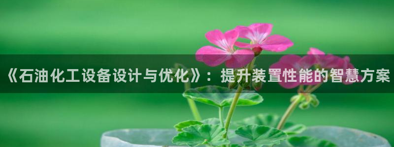 新航娱乐公司旗下艺人名单