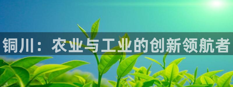 新航娱乐app最新版本更新内容介绍：铜川：农业与工业的创新领