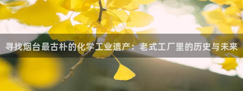 新航娱乐app的最新版本更新内容是什么：寻找烟台最