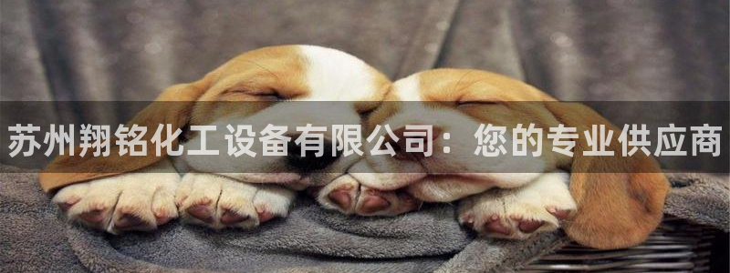 新航娱乐的会员权益与保障是什么